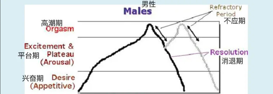 令人迷惑的“賢者模式”，抽搐后索然無味插圖1