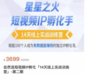 瑤瑤?自然流短視頻IP孵化第二期，成為有數(shù)據(jù)能賺錢的獨(dú)立IP孵化手百度網(wǎng)盤插圖