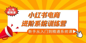 小紅書電商新手入門到精通實操課，從入門到精通做爆款筆記百度網(wǎng)盤插圖