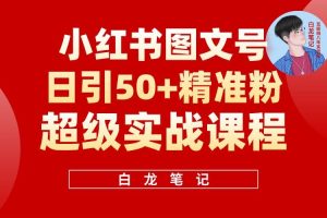 小紅書圖文號日引50+精準流量，新手小白實戰(zhàn)的小紅書引流課百度網(wǎng)盤插圖