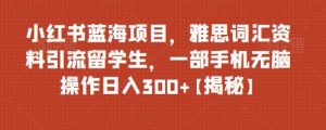 小紅書藍(lán)海項(xiàng)目雅思詞匯資料引流留學(xué)生，0門檻操作日入300百度網(wǎng)盤插圖