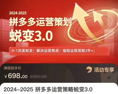 【電商上新】083.大力·2024-2025拼多多運營策略蛻變3.0 0~1完美蛻變，解決信息焦慮