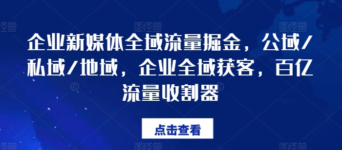 企業(yè)新媒體全域流量掘金，公域/私域/地域，企業(yè)全域獲客，百億流量收割器插圖