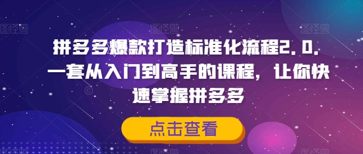 拼多多爆款打造標(biāo)準(zhǔn)化流程2.0，一套從入門到高手的課程，讓你快速掌握拼多多插圖