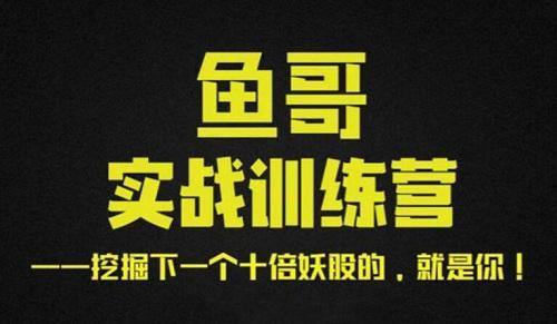 【魚(yú)哥】《魚(yú)哥實(shí)戰(zhàn)超短訓(xùn)練營(yíng)視頻+講義》插圖