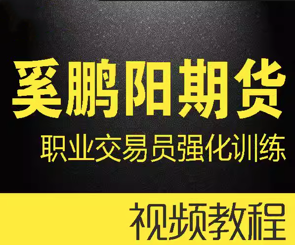 奚鵬陽期貨課程 職業(yè)交易員強(qiáng)化訓(xùn)練營(yíng) 買賣核心技術(shù)視頻全套插圖